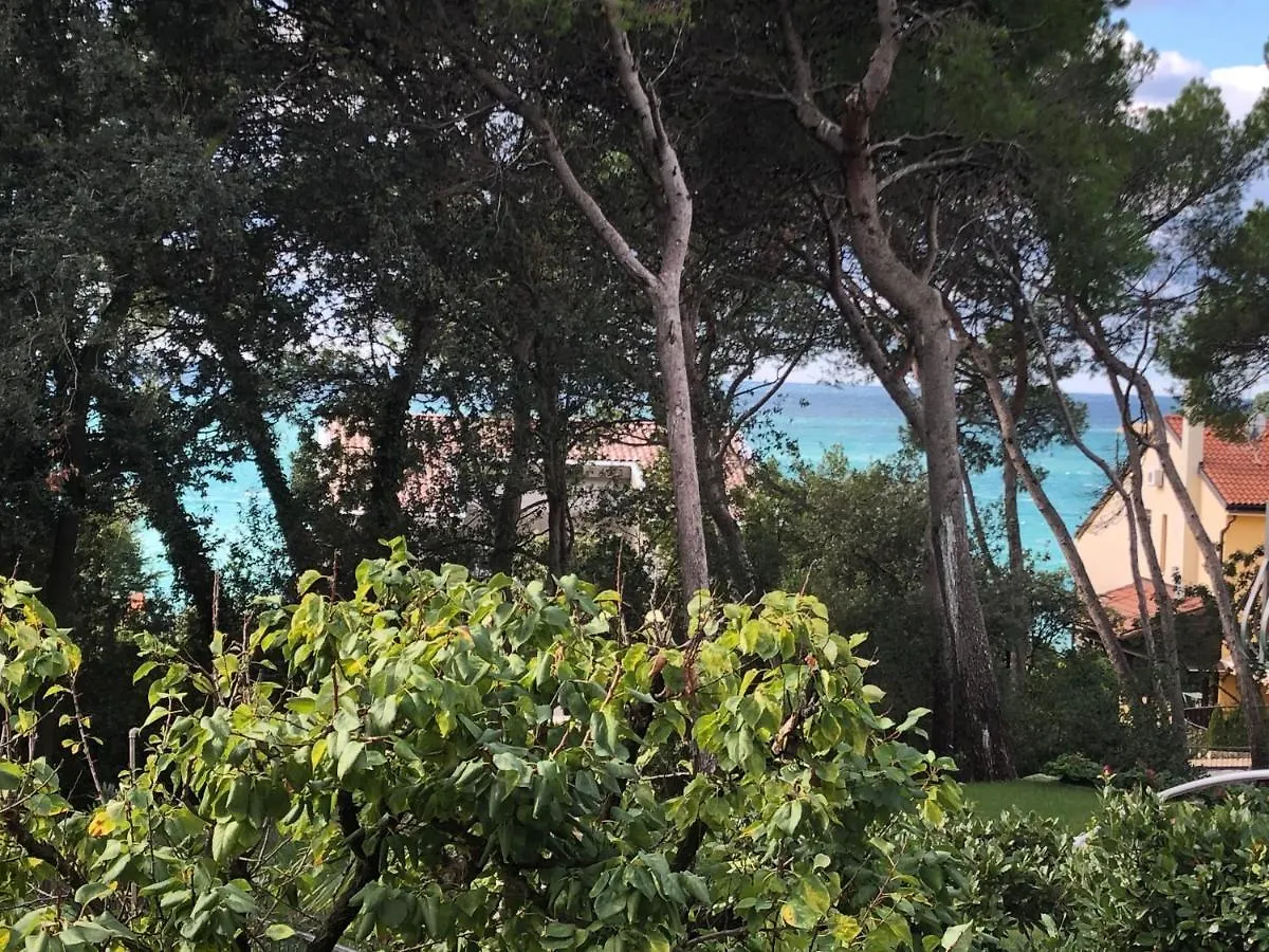 Adriatic Paradise Rovinj 0*,