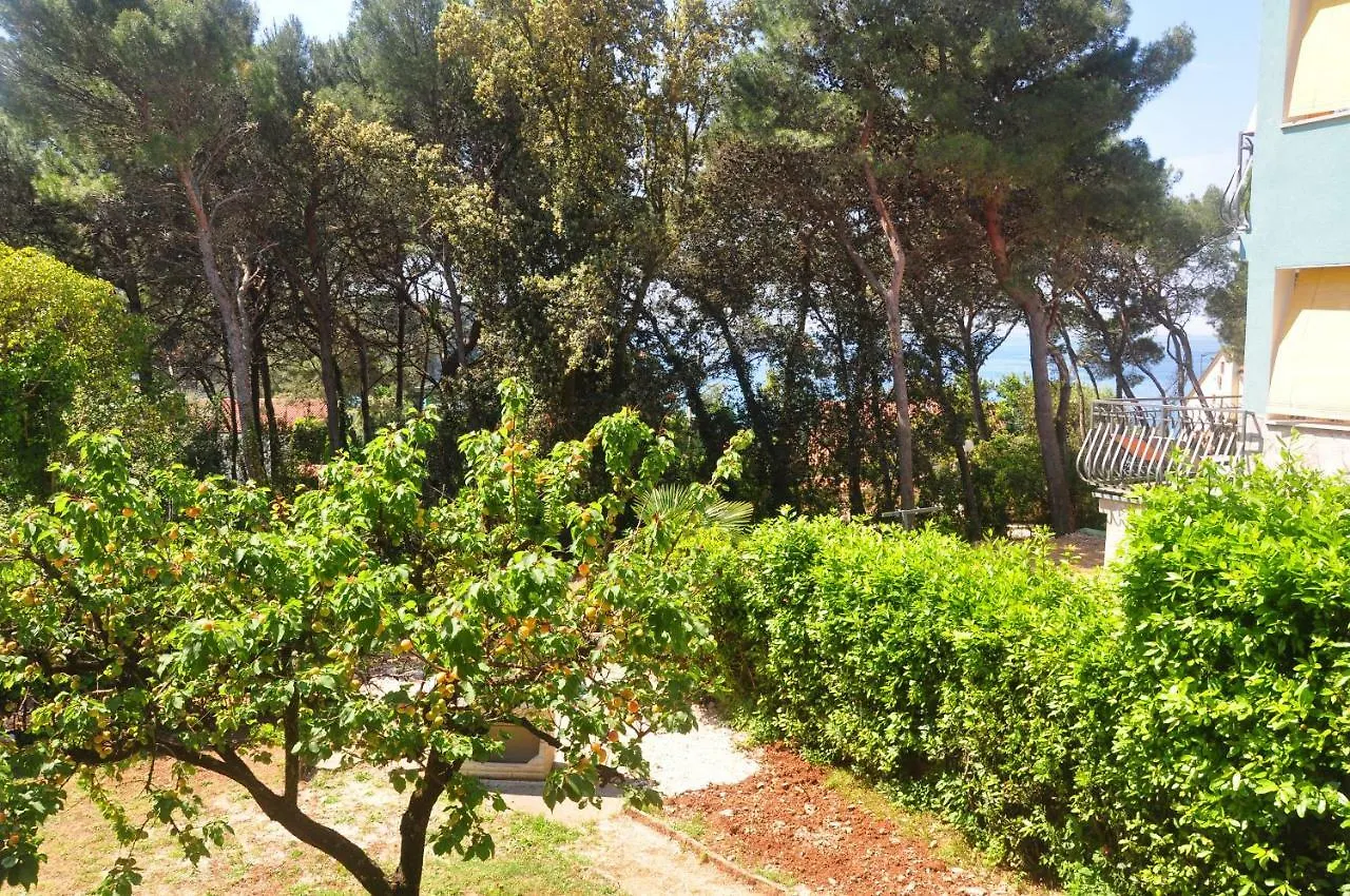 Adriatic Paradise Rovinj